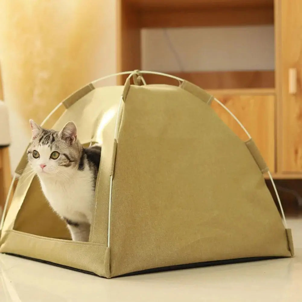 The Cat Nest