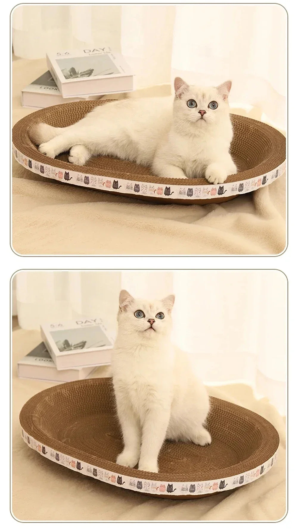 Pet Scratching Board Corrugated Cardboard Bowl