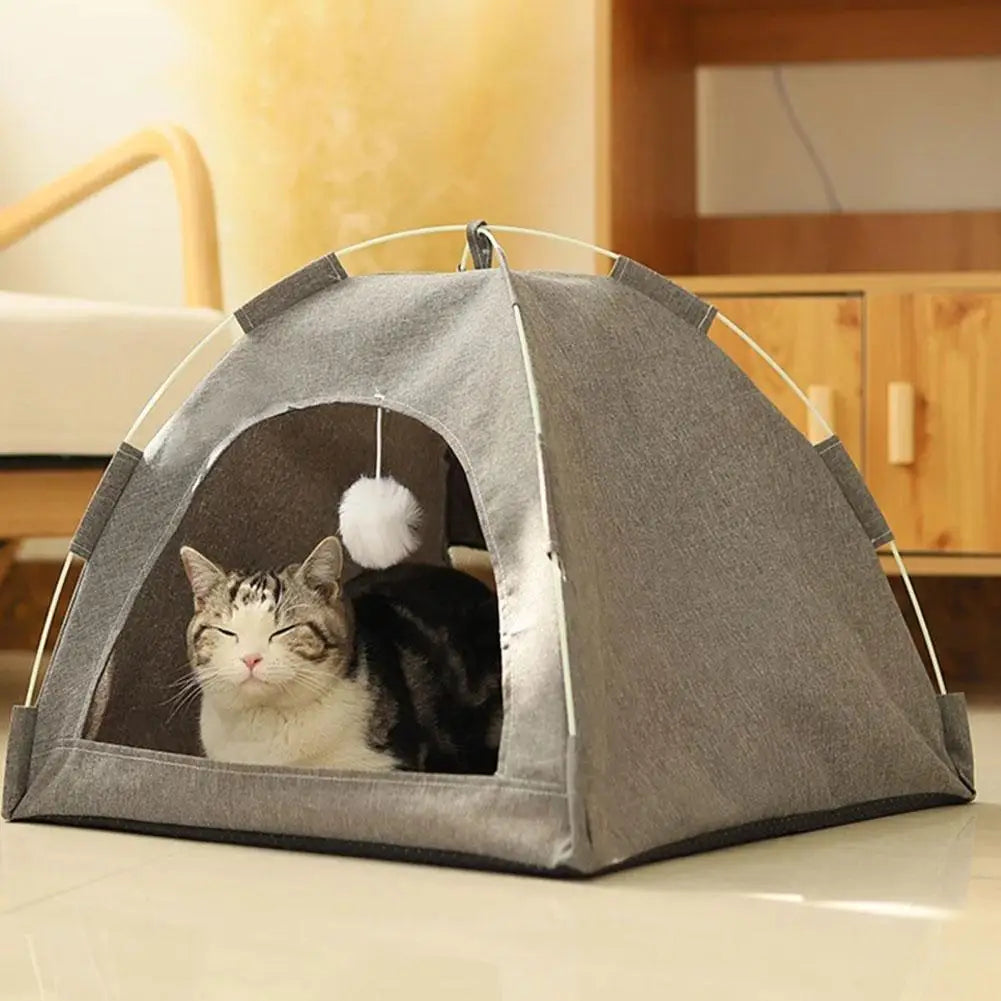 The Cat Nest
