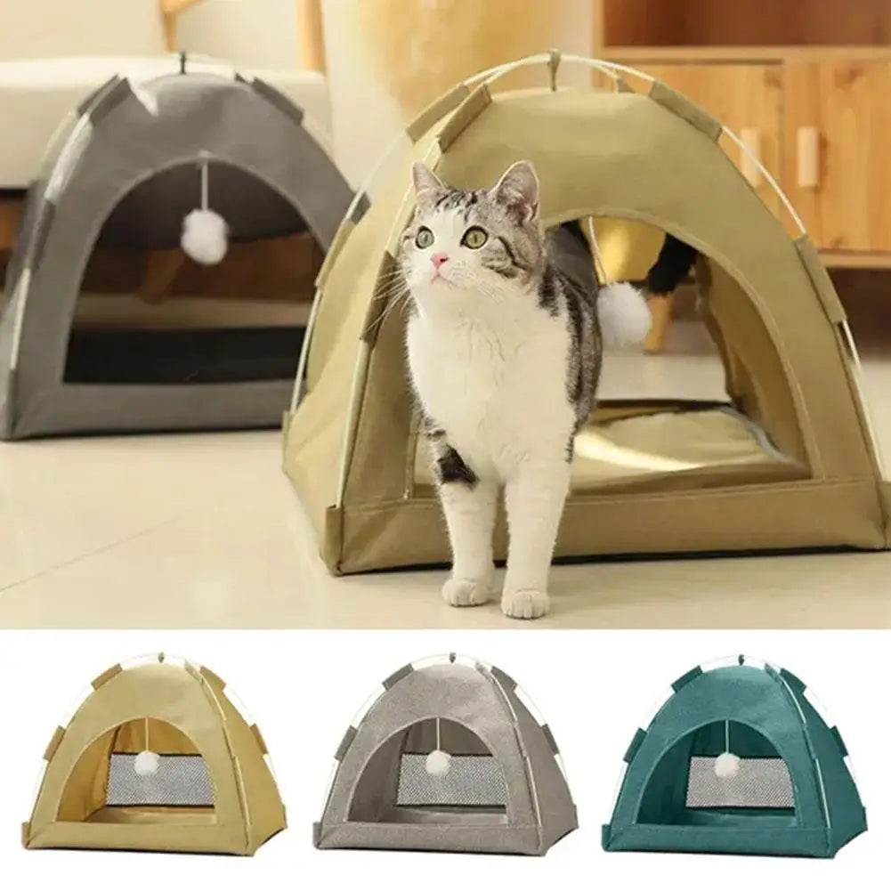 The Cat Nest